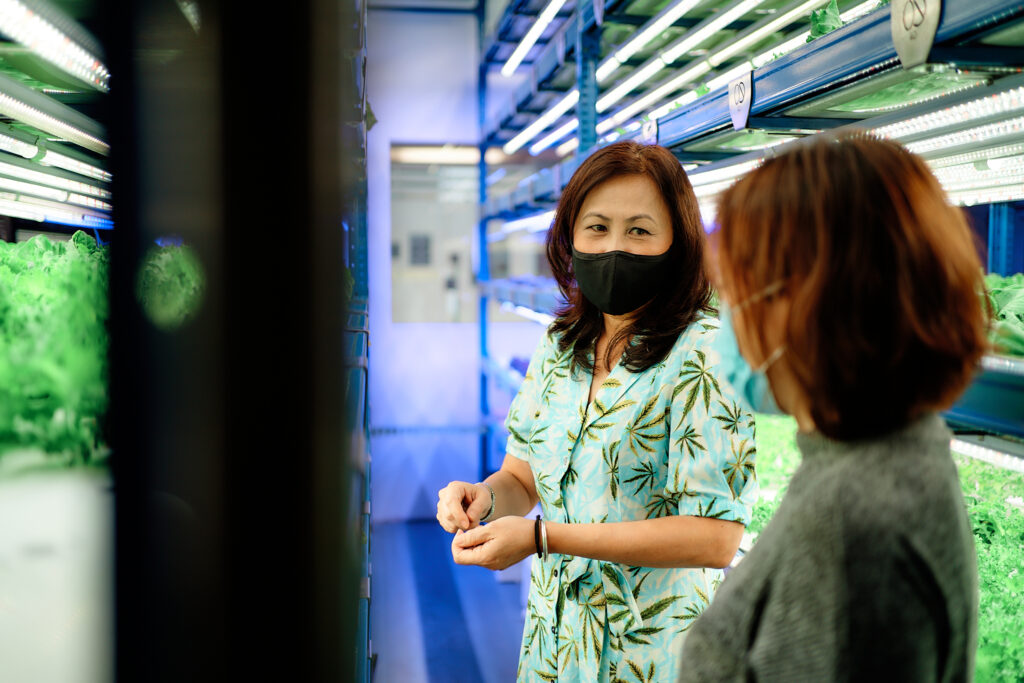 Miyoshi-food-in-local-urban-farming-singapore